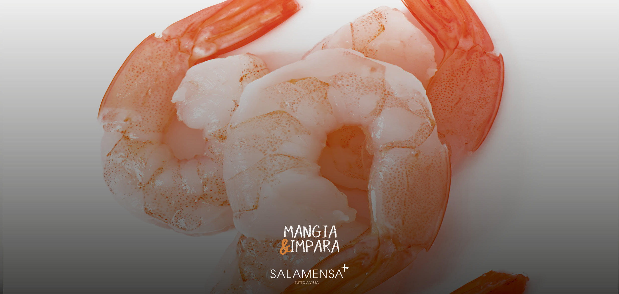 Salamensa | Mangia & Impara: Gamberi e Mazzancolle, un Mondo da Scoprire