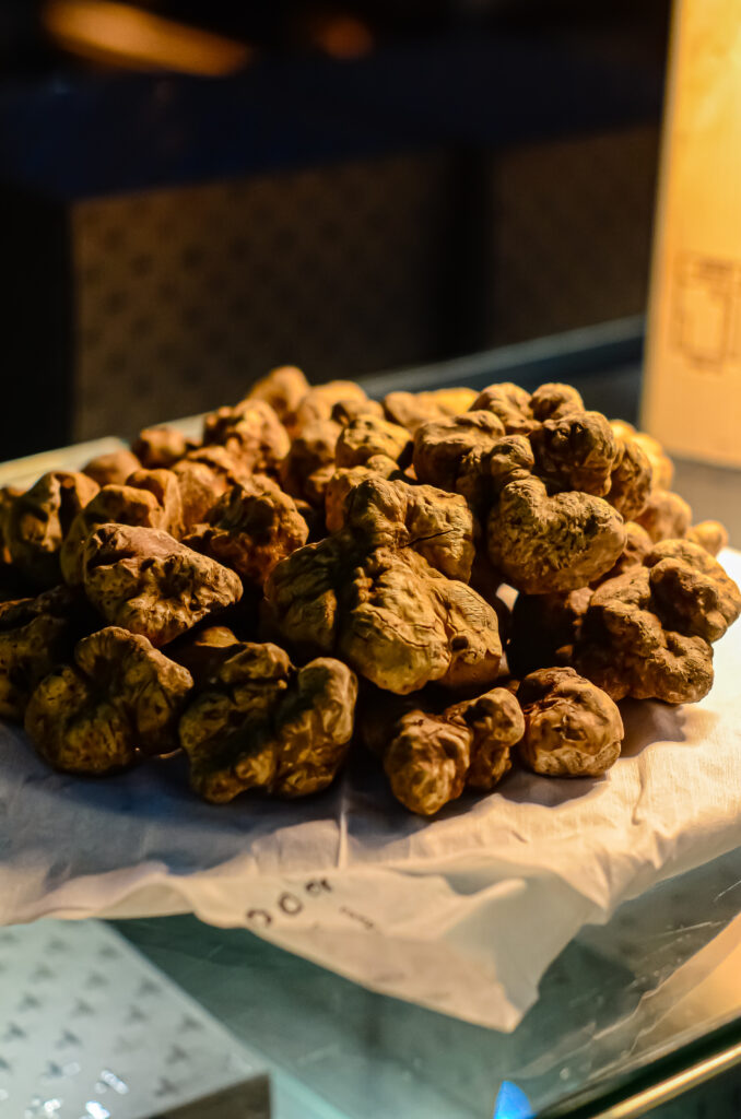 Tartufo bianco freschissimo, solo da salamensa